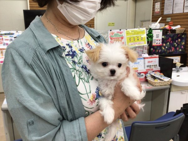 写真