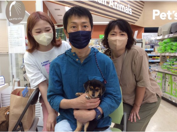 写真