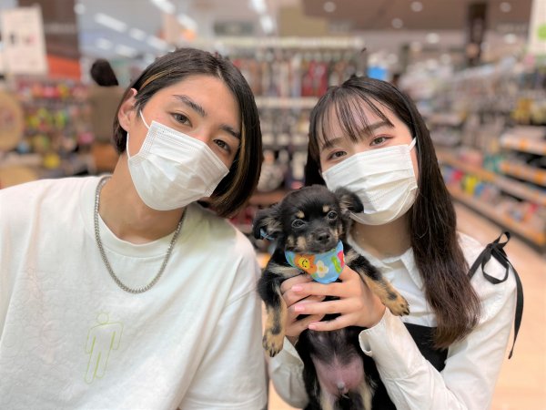 写真