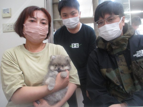 写真
