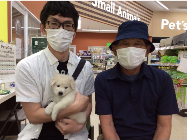 写真