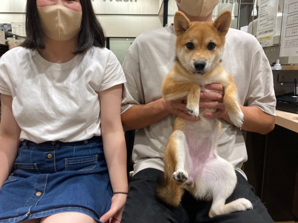 写真