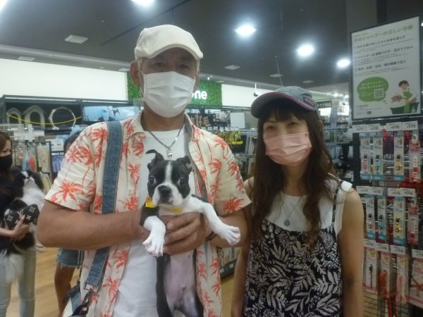 写真