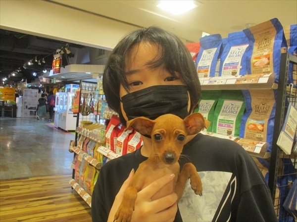 写真