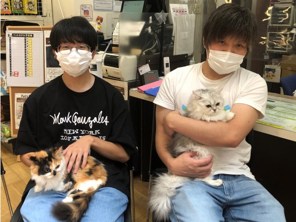写真
