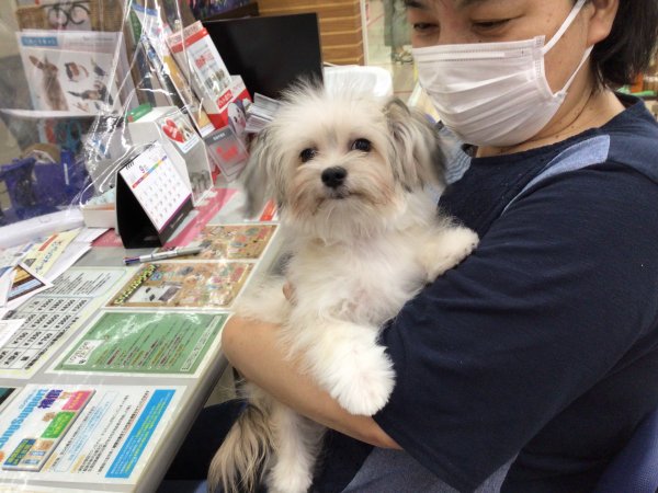写真