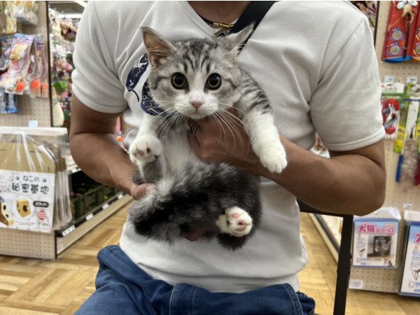 写真