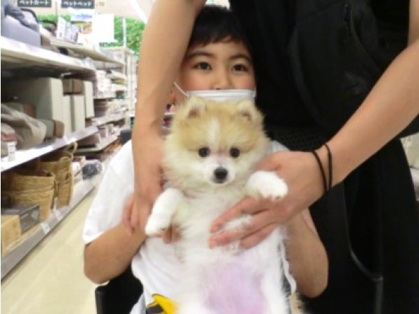 写真