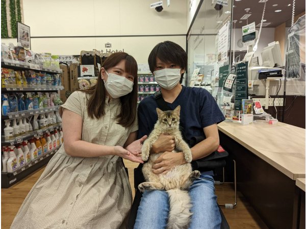 写真