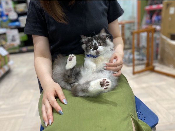 写真