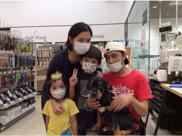 写真
