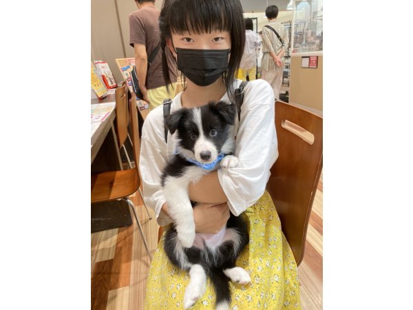 写真