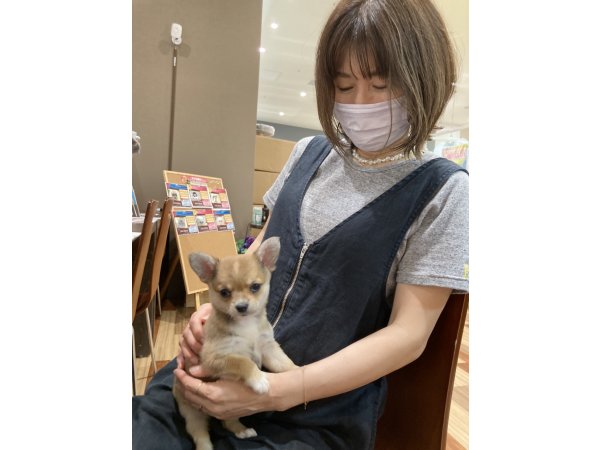 写真