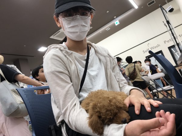 写真