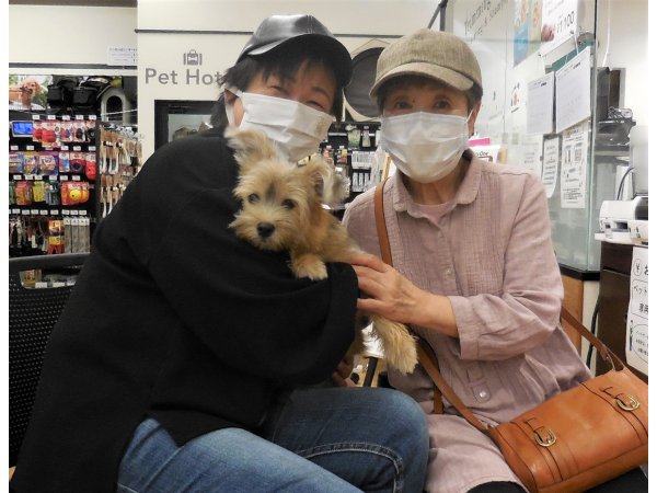 写真