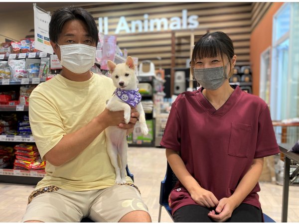 写真