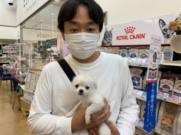 写真