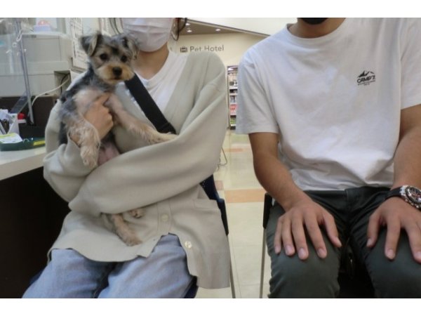 写真