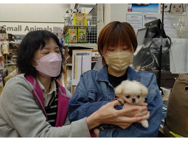 写真