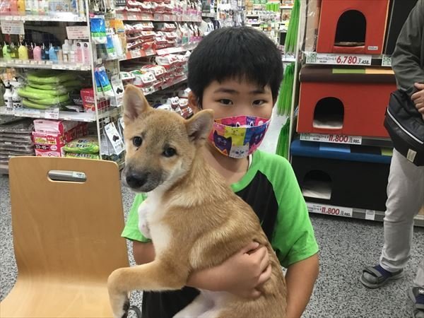 写真