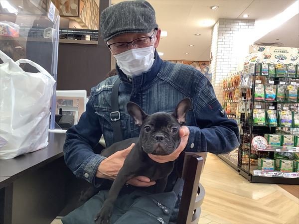 写真