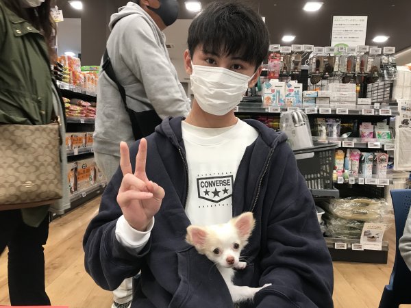 写真