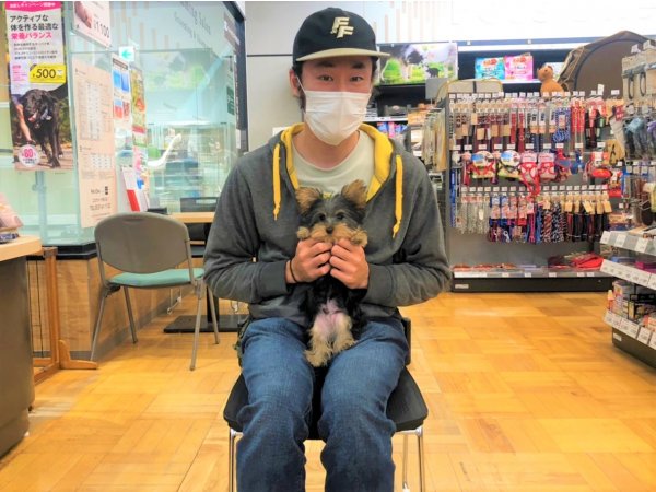 写真