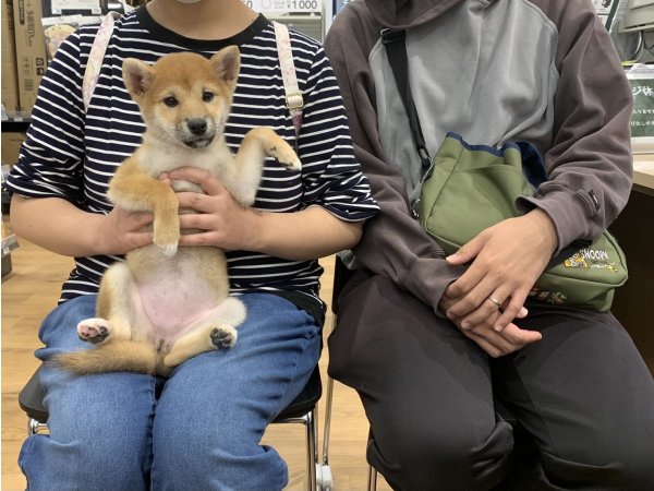 写真