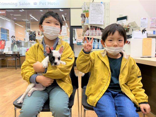 写真