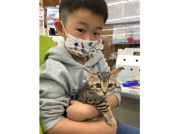 写真