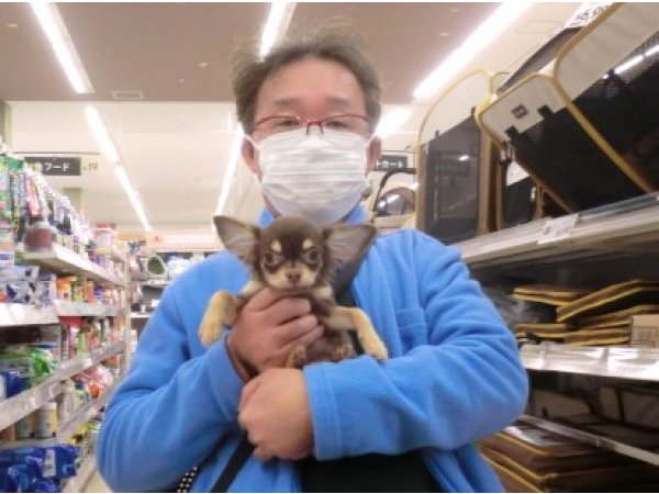 写真