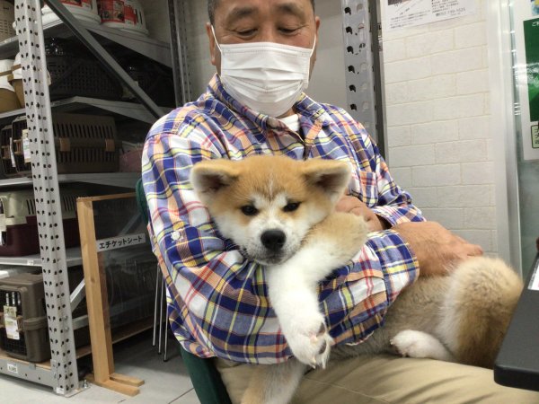 写真