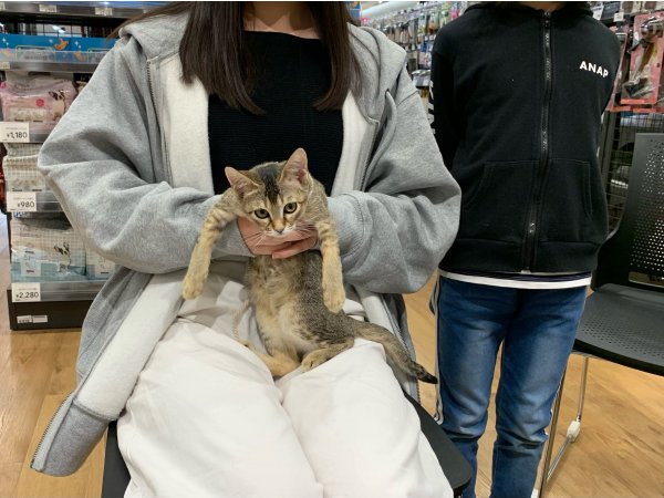 写真