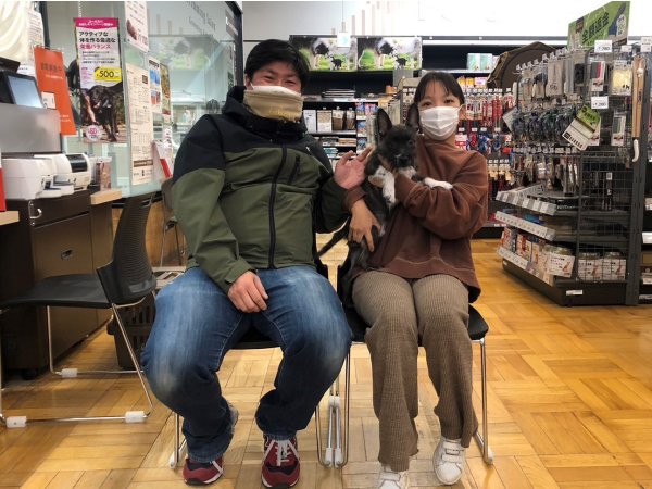 写真