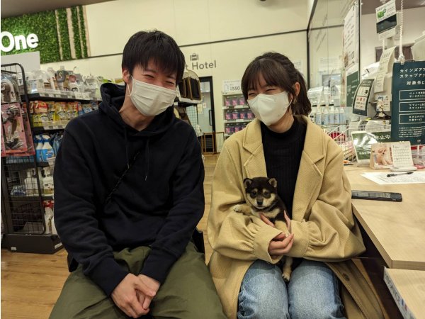 写真