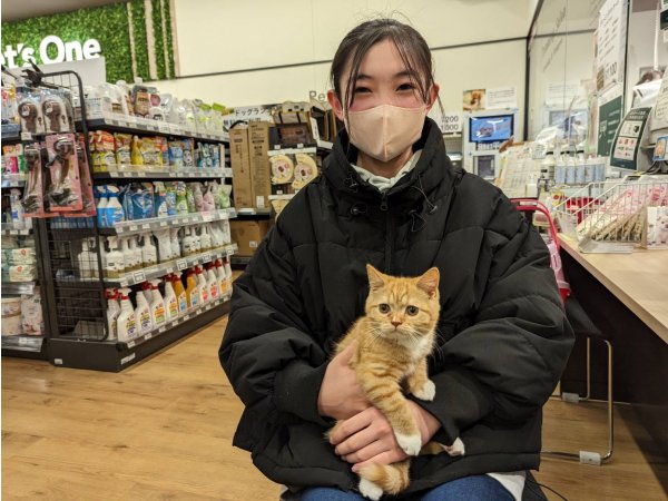 写真