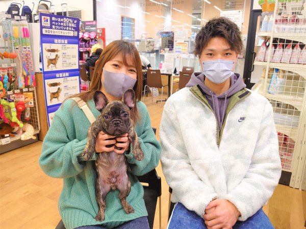 写真