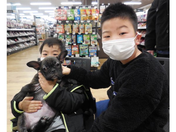 写真