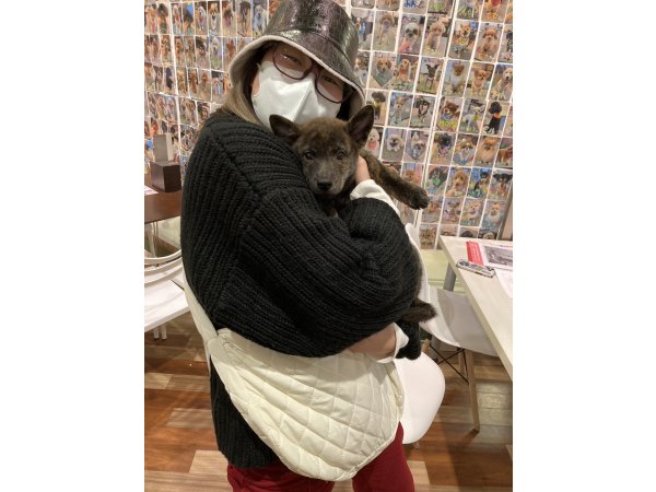写真