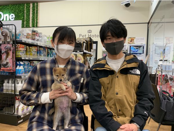 写真