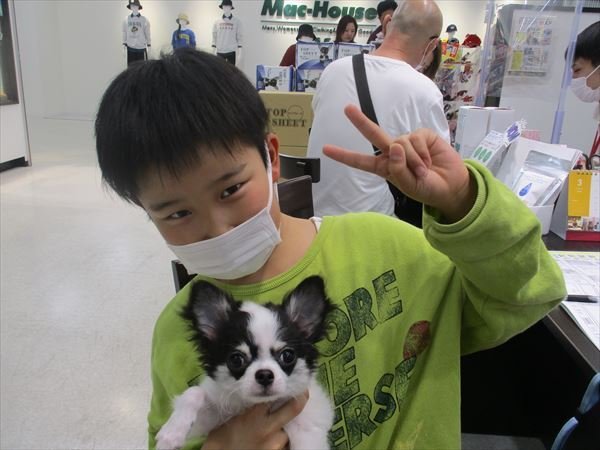 写真