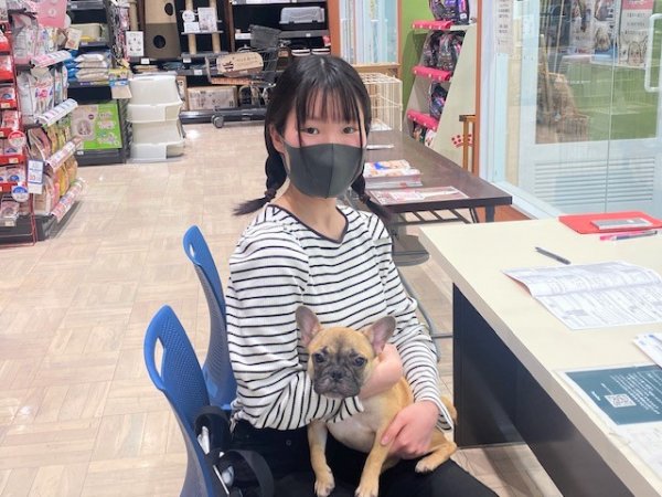 写真
