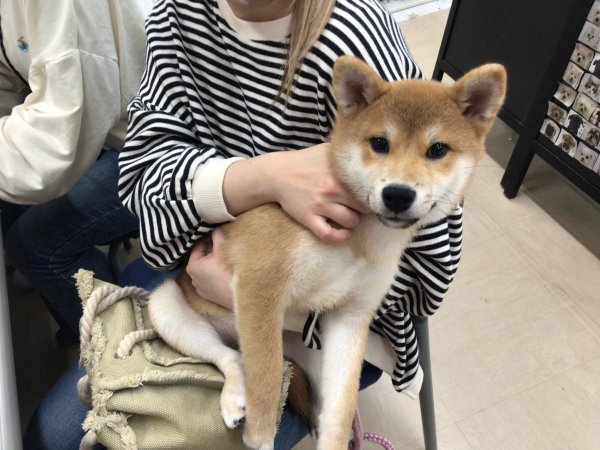 写真