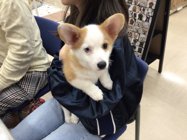 写真