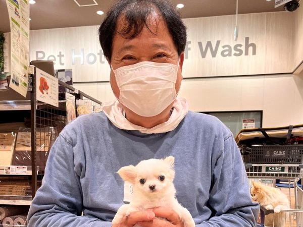 写真