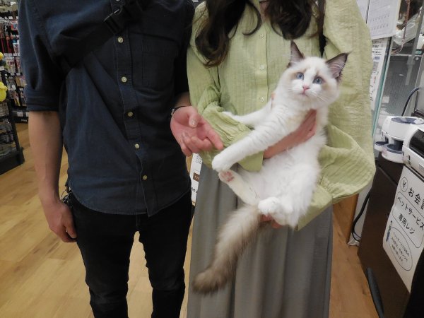 写真