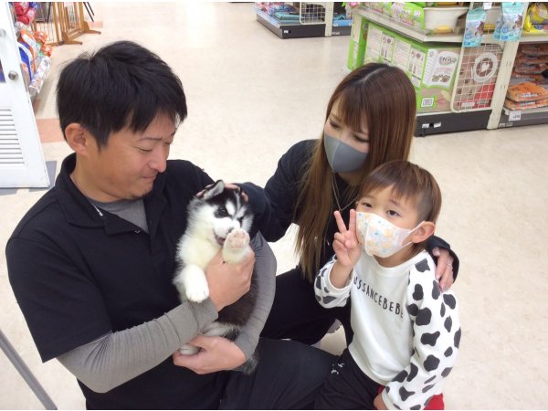 写真