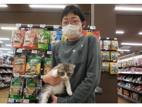 写真