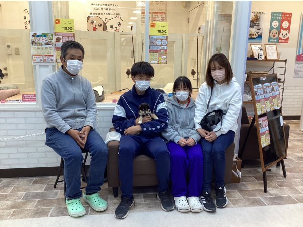 写真