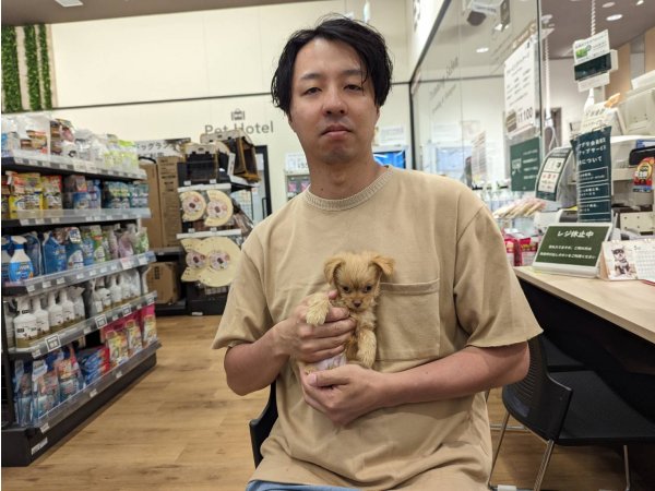 写真